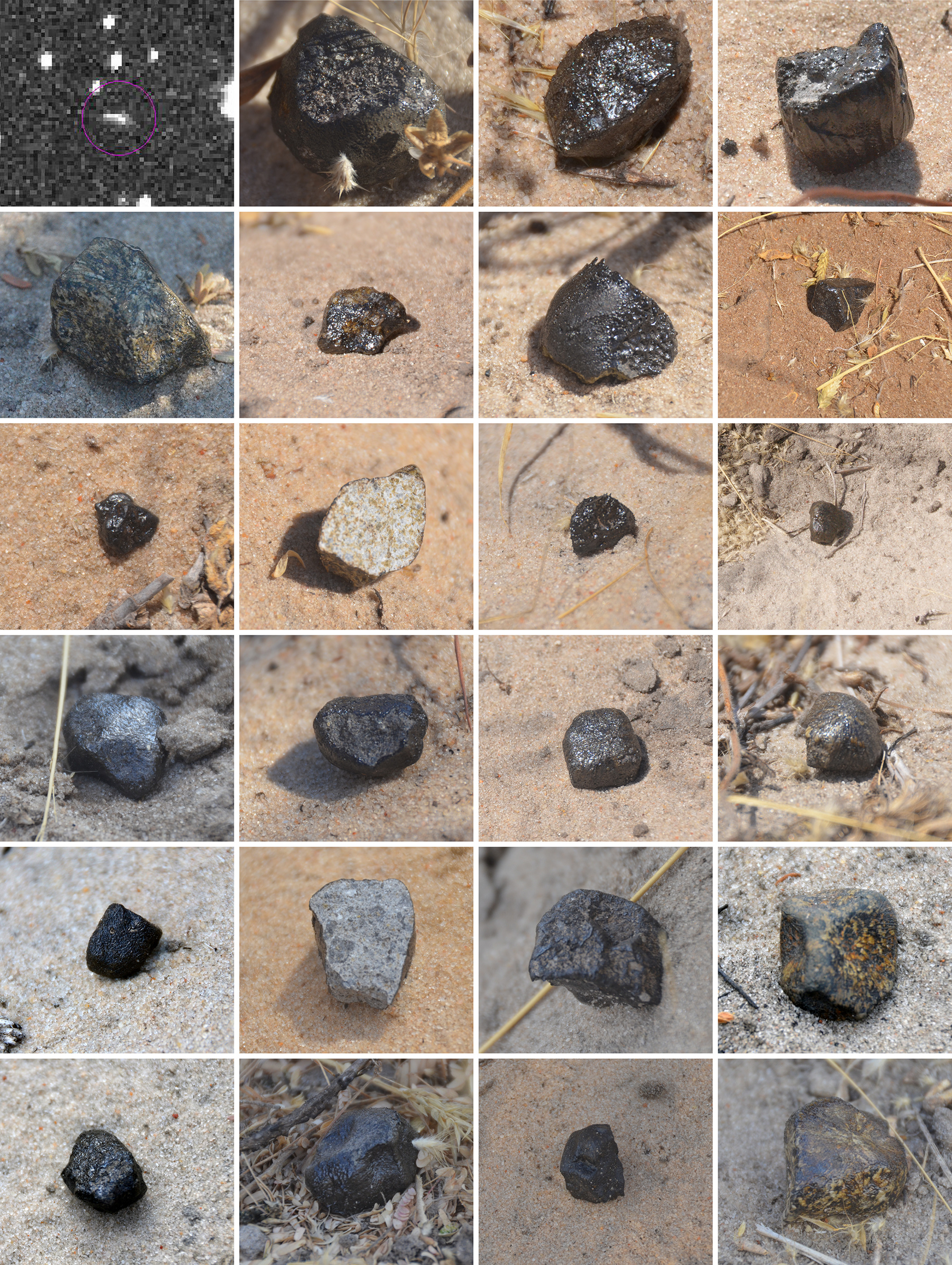 На першій світлині зображений астероїд 2018 LA у космосі, на решті — його фрагменти, знайдені на Землі. Peter Jenniskens et al.