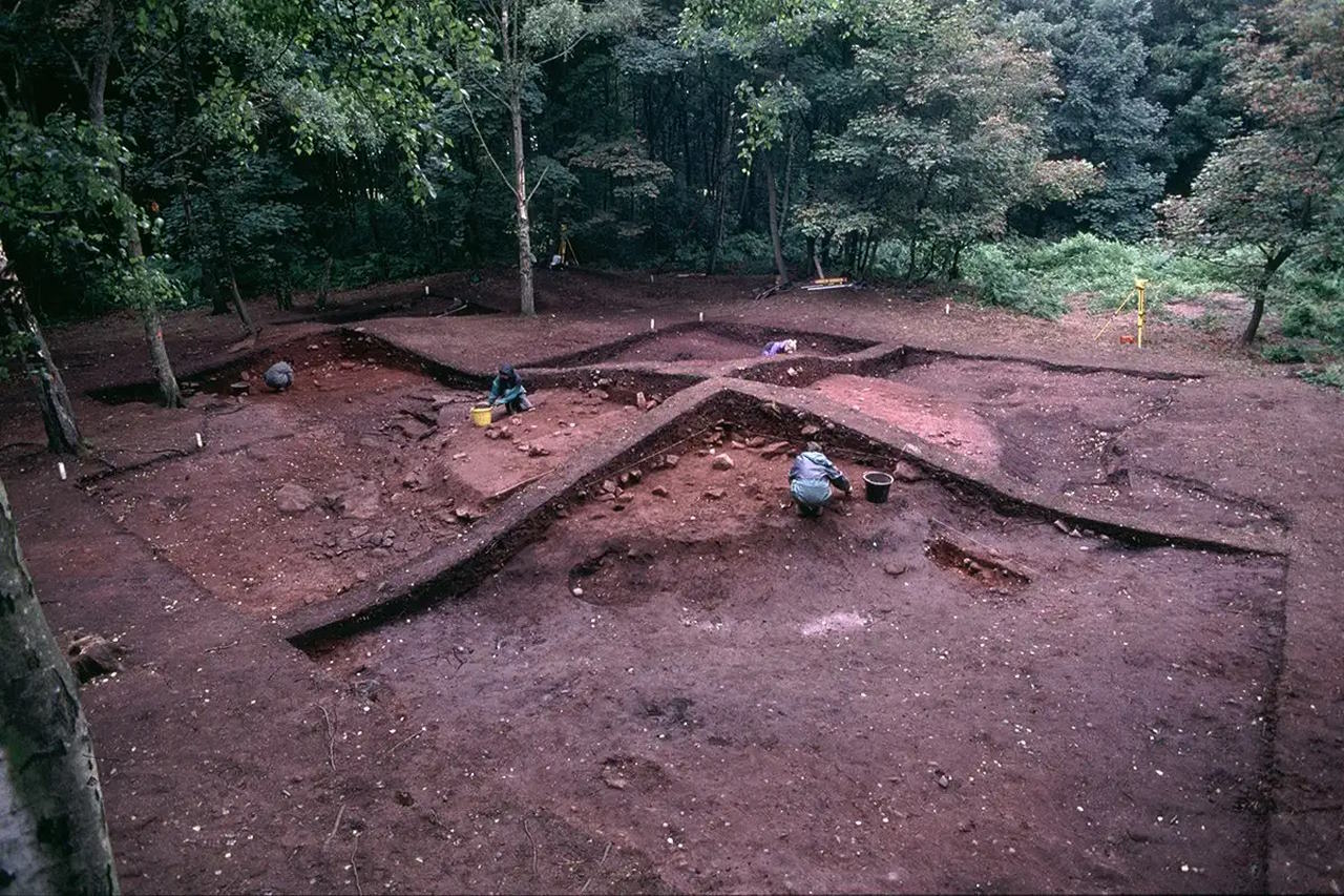 Розкопки поховання Хіт-Вуд.&amp;nbsp;Julian Richards, University of York