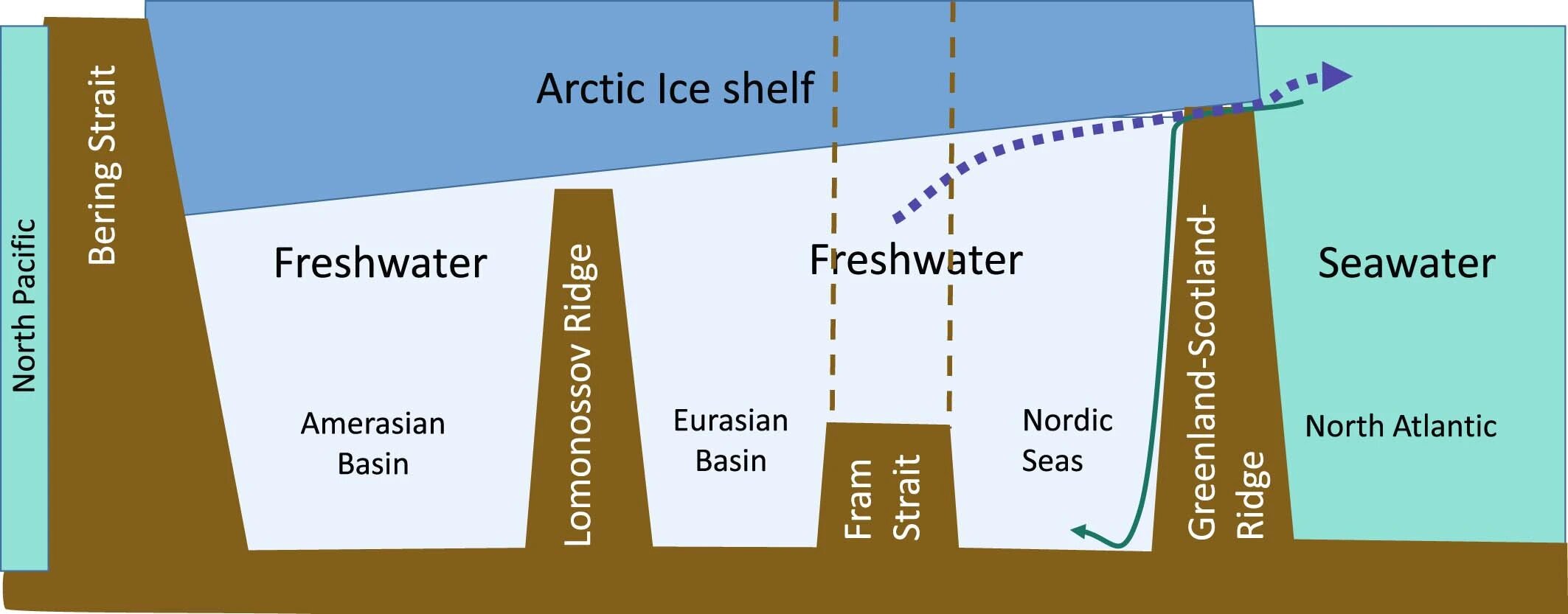 Схема механізму зберігання прісної води у Північному Льодовитому океані. Walter Geibert et al.&amp;nbsp;