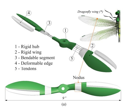 Конструкція пропелера із жорсткою маточиною, м'якими лопатями та гнучкими вузлами-сухожиллями. BUI et al. / IEEE Xplore, 2022