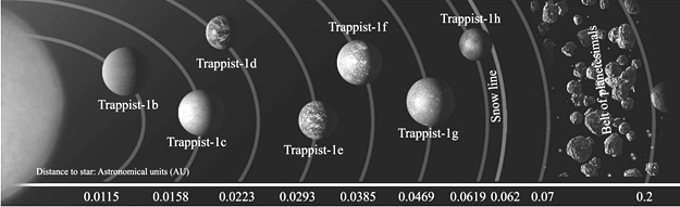 Ескіз системи TRAPPIST-1 з сімома планетами. Крім планет, на ньому зображено гіпотетичний планетезимальний пояс. NASA/JPL-Caltech