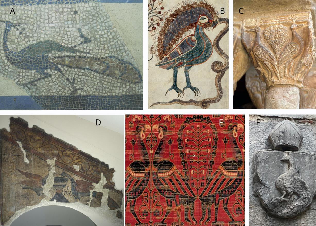 Різні зображення павичів у ранньохристиянському та середньовічному мистецтві в Каталонії.&amp;nbsp;Marina Fernández et al. /&amp;nbsp;International Journal of Osteoarchaeology, 2022