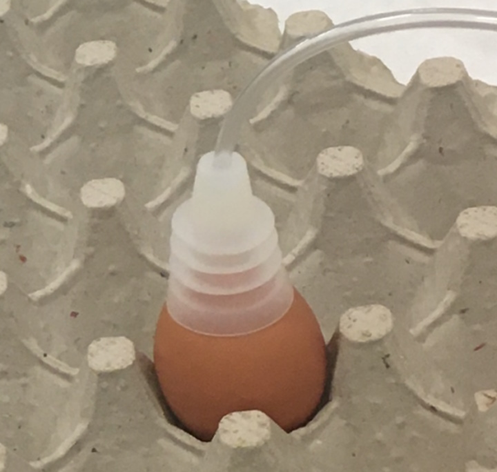 Присоска, яка збирає леткі органічні сполуки, виділені яйцем.&amp;nbsp;Tom Turpen / Sensit Ventures