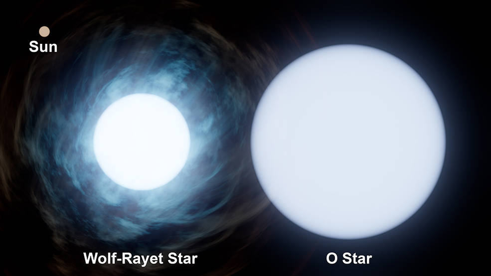 Відносний розмір Сонця (угорі ліворуч) у порівнянні з двома зірками в цій системі. Зірка типу O приблизно в 30 разів більша за масу Сонця, а її супутник&amp;nbsp;— вдесятеро.&amp;nbsp;NASA / JPL-Caltech