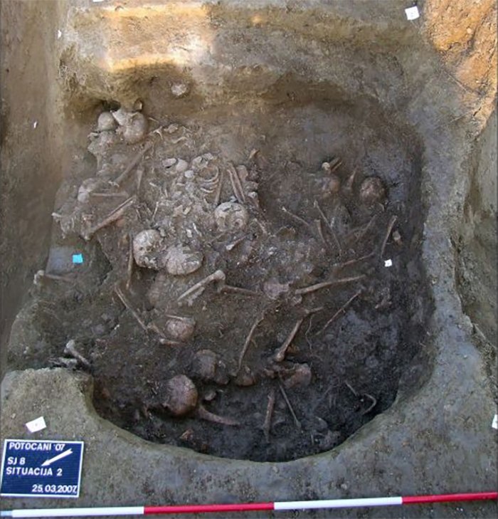 Поховання з тілами принаймні 41 людини.&amp;nbsp;Novak et al. / PLOS One, 2021