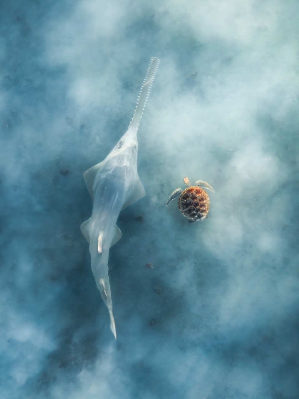 Matt Deakin / Drone Photo Awards 2025