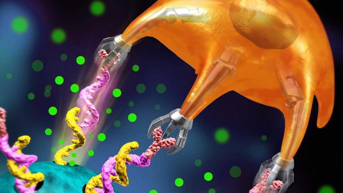 Художнє зображення Т-клітини, що руйнує ДНК та вивільняє ліки. my SCImage / 2020 EPFL
