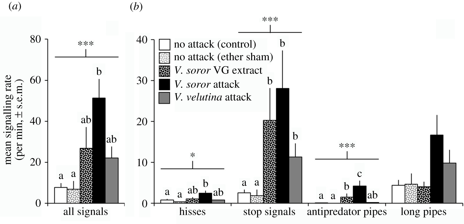 Типи віброакустичної сигналізації східних бджіл, за частотою проявів при різних типах атак або їх відсутності.&amp;nbsp;Heather R. Mattila et al. /&amp;nbsp;Royal Society Open Science, 2021