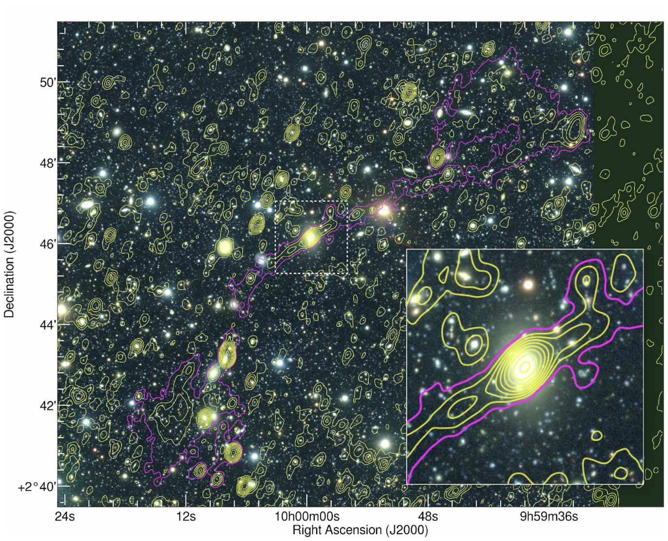 Структура однієї зі знайдених гігантських радіогалактик. J Delhaize / Monthly Notices of the Royal Astronomical Society