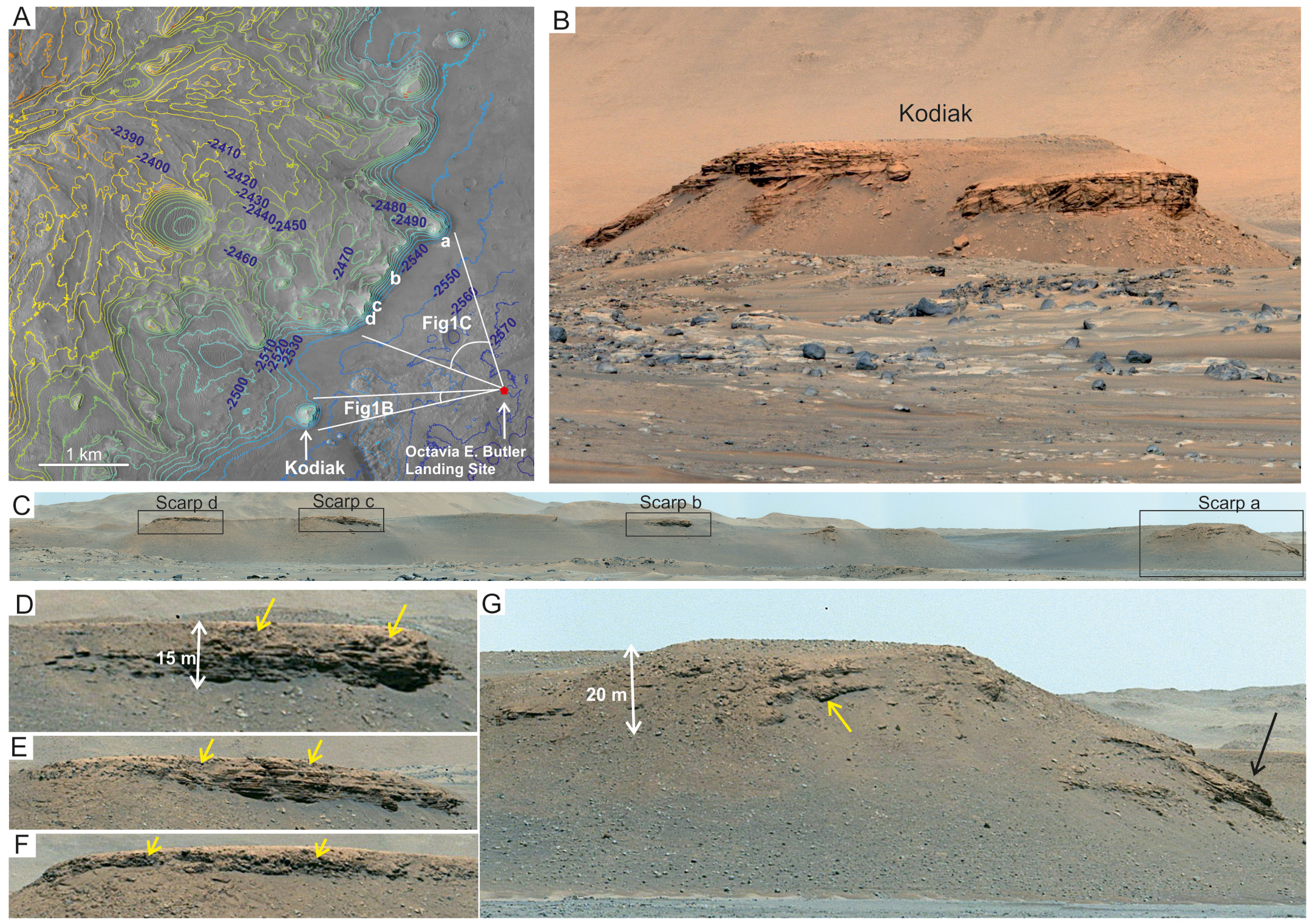 Знімки відкладень у кратері на Заході. N. Mangold et al. / Scince, 2021