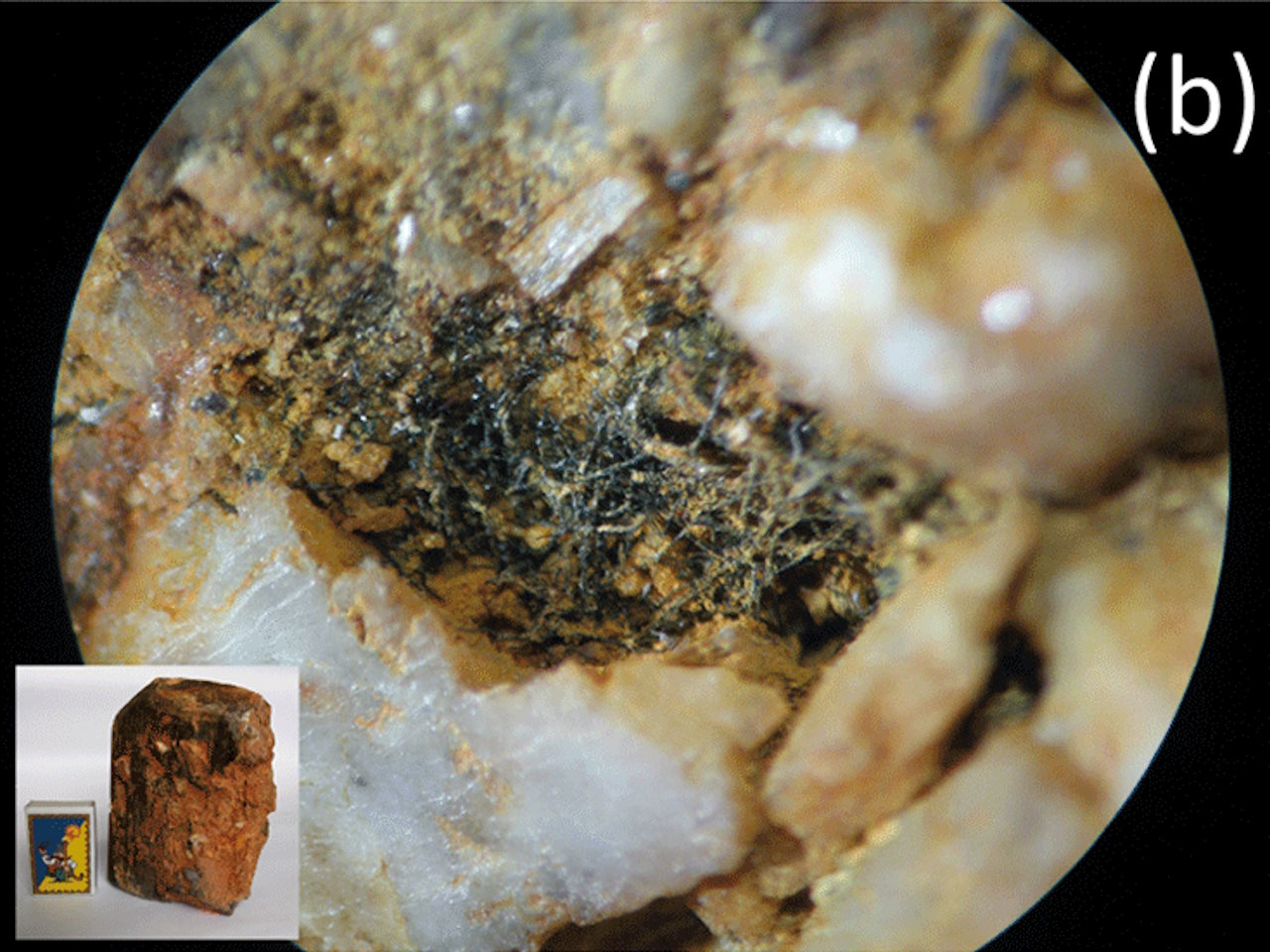Фотографія волокнистих утворів на зразках мінералів з Житомирщини.&amp;nbsp;Gerhard Franz et al. /&amp;nbsp;Biogeosciences, 2023&amp;nbsp;