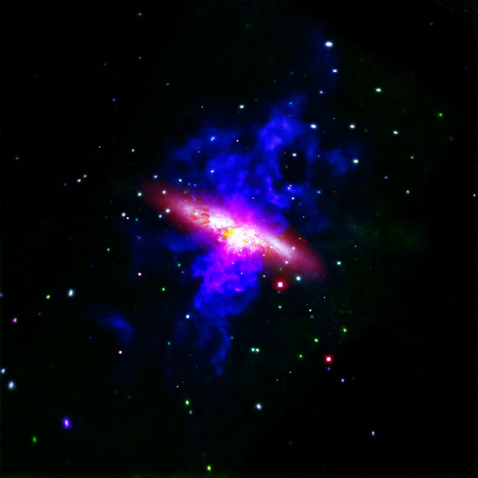 Мессьє 82, або М82, також має назву галактика Сигара. Вона орієнтована ребром до Землі, під таким кутом, що можна спостерігати, як всередині галактики відбувається зореутворення. Рентгенівські промені, зафіксовані «Чандрою», зображені блакитними та рожевими. Вони показують газ у хмарах довжиною близько 20 000 світлових років, який нагрівається до температури вище десяти мільйонів градусів багаторазовими вибухами наднової. Дані оптичного світла, отримані космічним телескопом «Габбл», зображені червоним та помаранчевим і показують саму галактику.