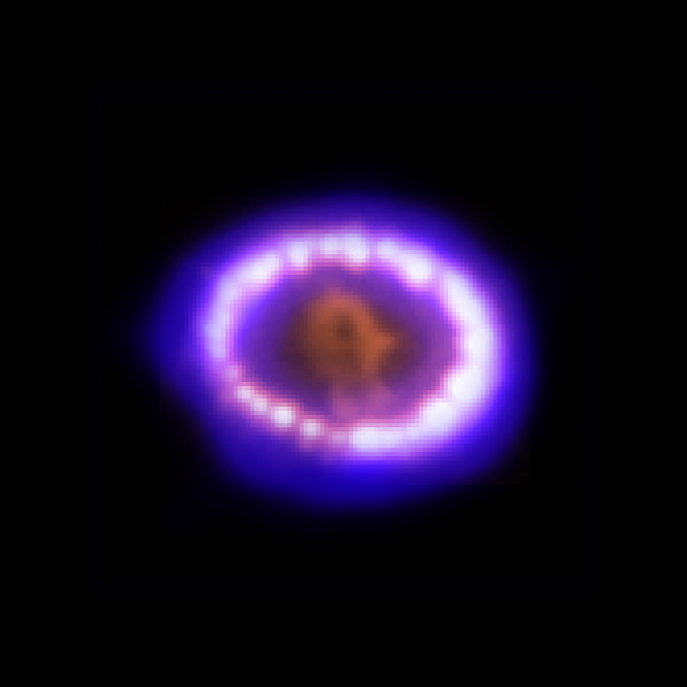 24 лютого 1987 року спостерігачі з південної півкулі могли побачити новий об'єкт у Великій Магеллановій Хмарі, сусідній галактиці. Це був один із найяскравіших вибухів наднової за століття. Дані «Чандри» (синій) показують розташування ударної хвилі наднової, яка взаємодіє з навколишнім матеріалом на відстані приблизно чотирьох світлових років від початкової точки вибуху. Оптичні дані «Габбла» (помаранчевий і червоний) також свідчать про цю взаємодію.