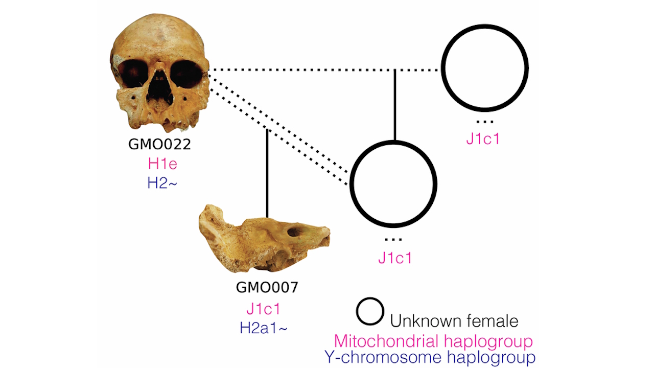 Генеалогічне дерево родини, у якій відбувся інцест між батьком і донькою. Ані решток доньки, ані її матері не знайшли. Fontani et al. / Communications Biology, 2025
