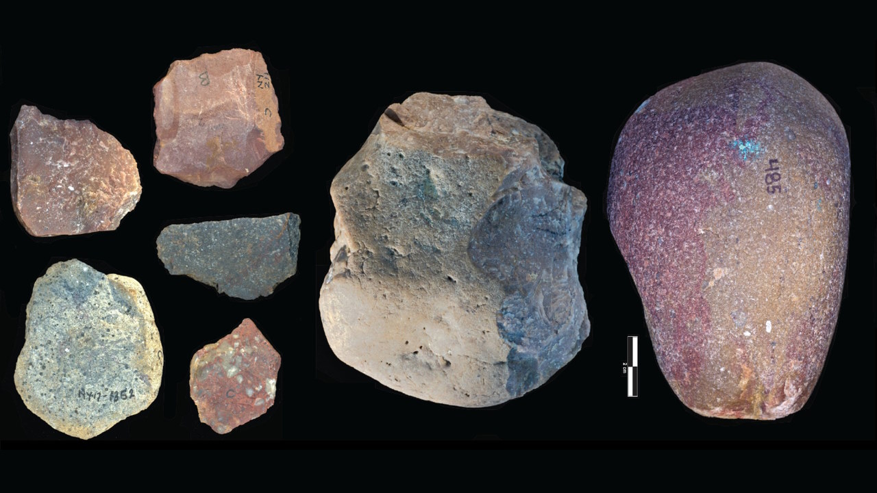 Приклад кам'яних інструментів, знайдених у Няянга.&amp;nbsp;Thomas Plummer et al. / Science, 2023