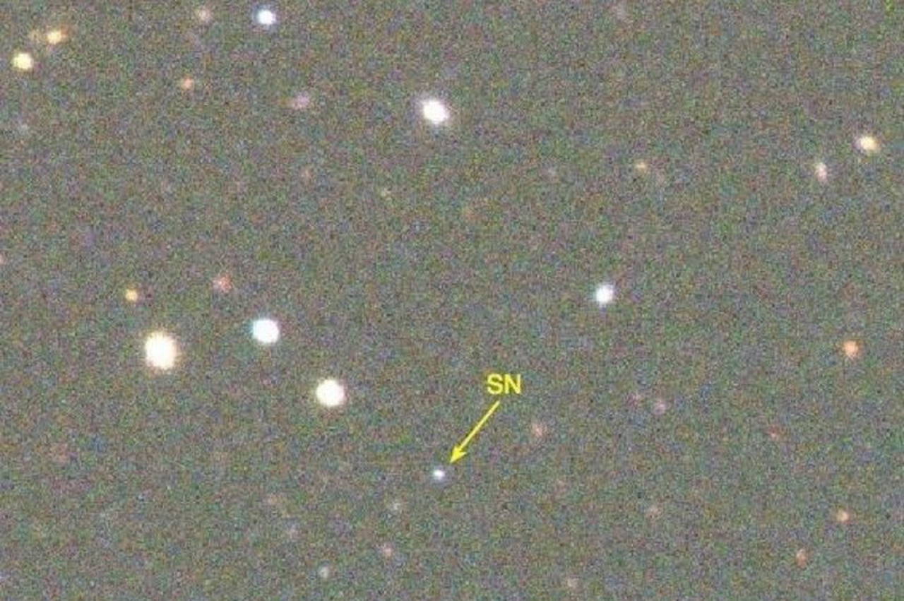 Так для астрономів на зображеннях телескопів виглядають спалахи наднових. Попри яскравість, з відстані&amp;nbsp;мільярдів світлових років від Землі вони здаються тьмяними крапками. D. Gerdes and S. Jouvel / UCSC