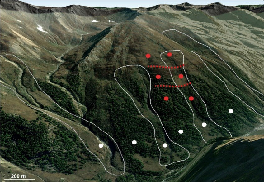 Частина Альп із виділеними білим ділянками, по яких у минулі роки пронеслися лавини.&amp;nbsp;Riccardo Alba et al. /&amp;nbsp; Journal of Ornithology