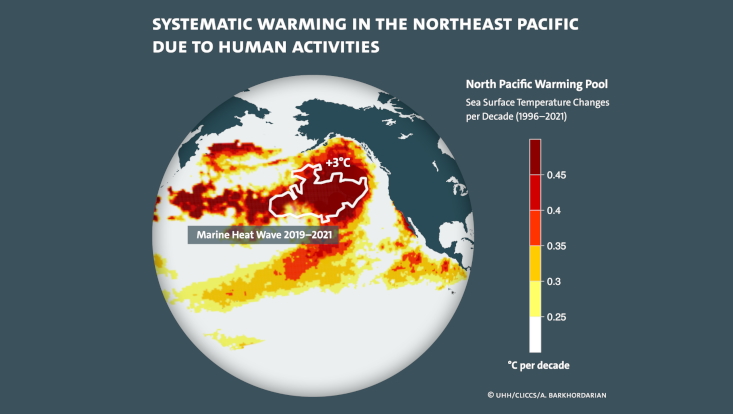 Нагрівання басейну нагрітої води у північно-східному Тихому океані та регіон морської хвилі спеки 2019-2021 років (позначено білим).&amp;nbsp;UHH / CLICCS / A. Barkhordarian