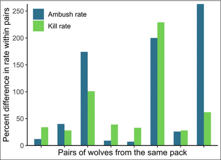 Відмінності у частоті вбивств бобрів (зелений) та засідок (синій) у восьми пар вовків з однієї зграї.&amp;nbsp;Joseph Bump et al. /&amp;nbsp;Frontiers in Ecology and the Environment, 2022