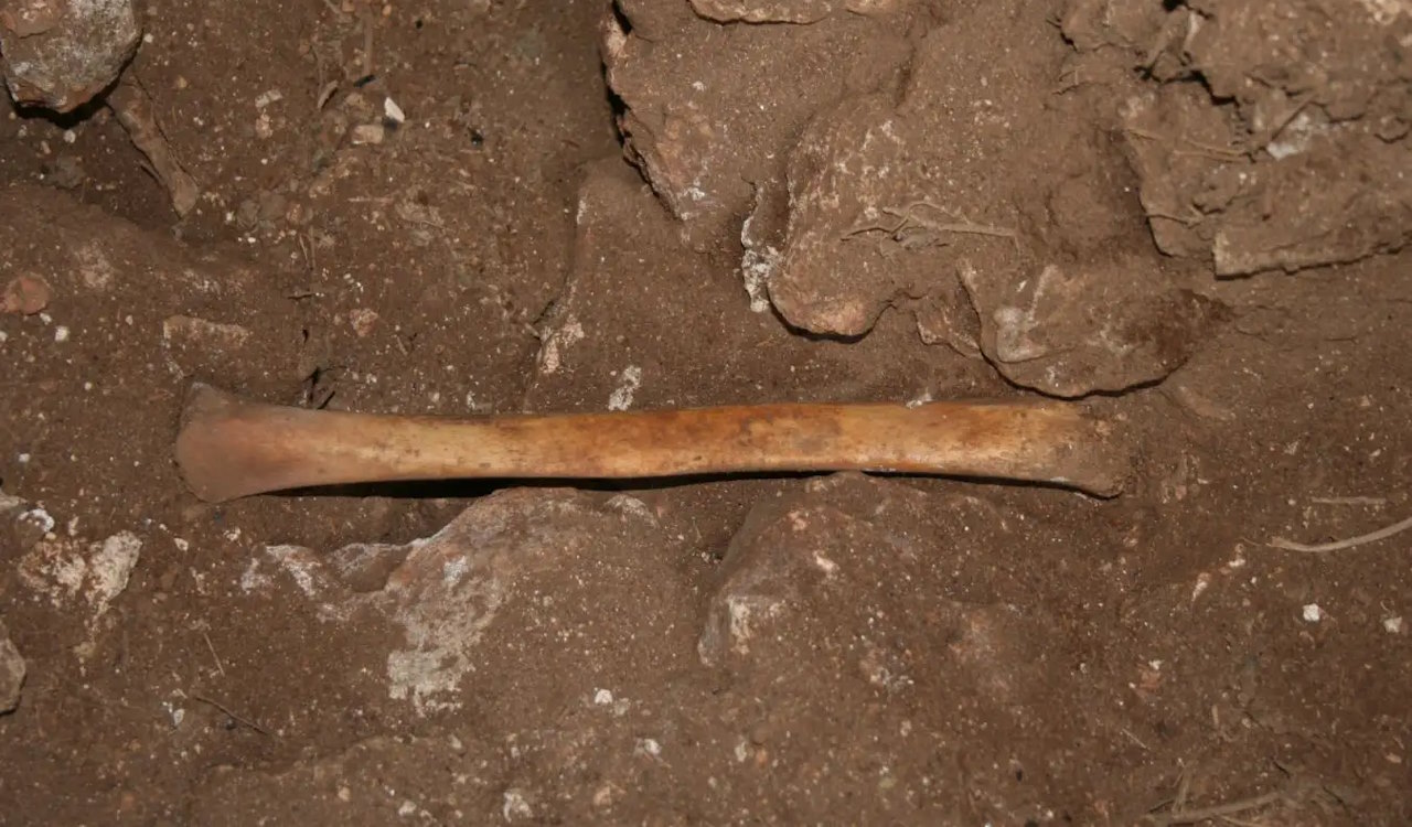 Кістка з печери Мармолес.&amp;nbsp;J.C. Vera Rodríguez