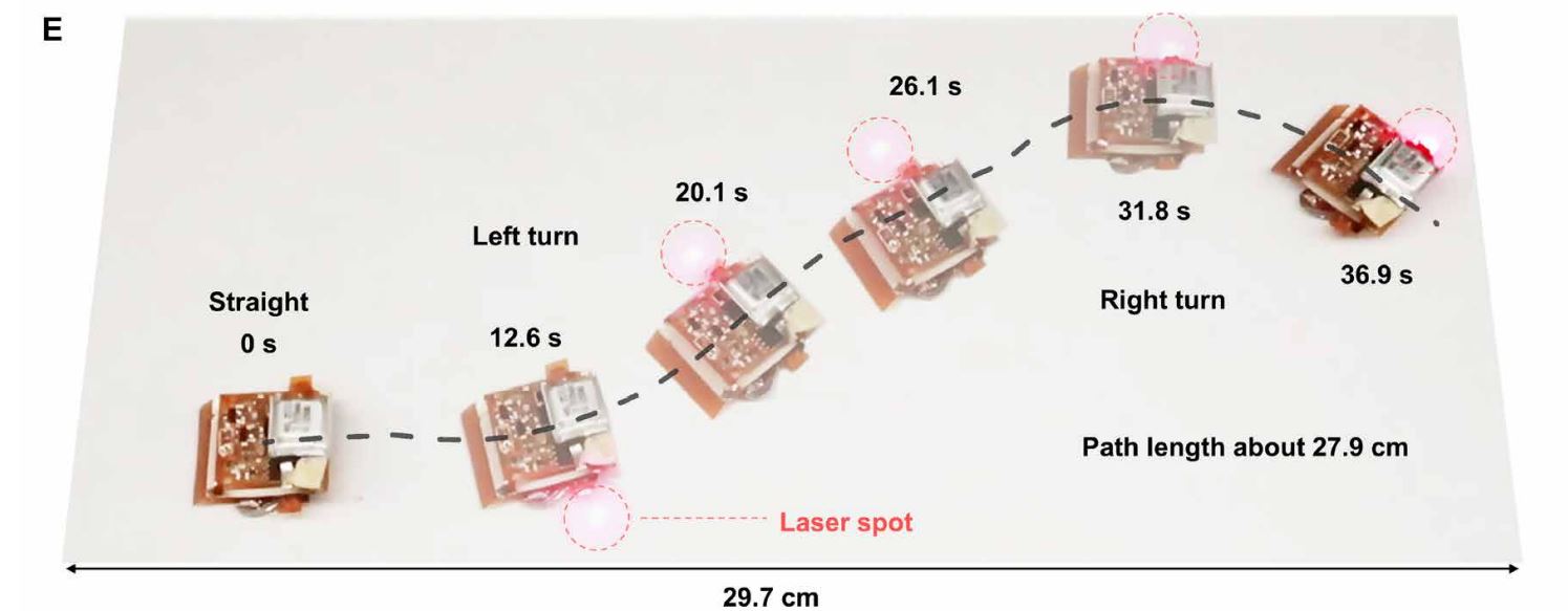 Робот розвертається під дією лазерної вказівки. Jiaming Liang et al. / Science Robotics, 2021
