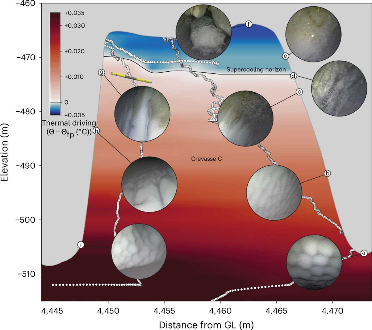 Ілюстрація умов формування морської криги у тріщині льодовика зі знімками нашарувань, які отримав робот. J. D. Lawrence et al. / Nature Geoscience, 2023