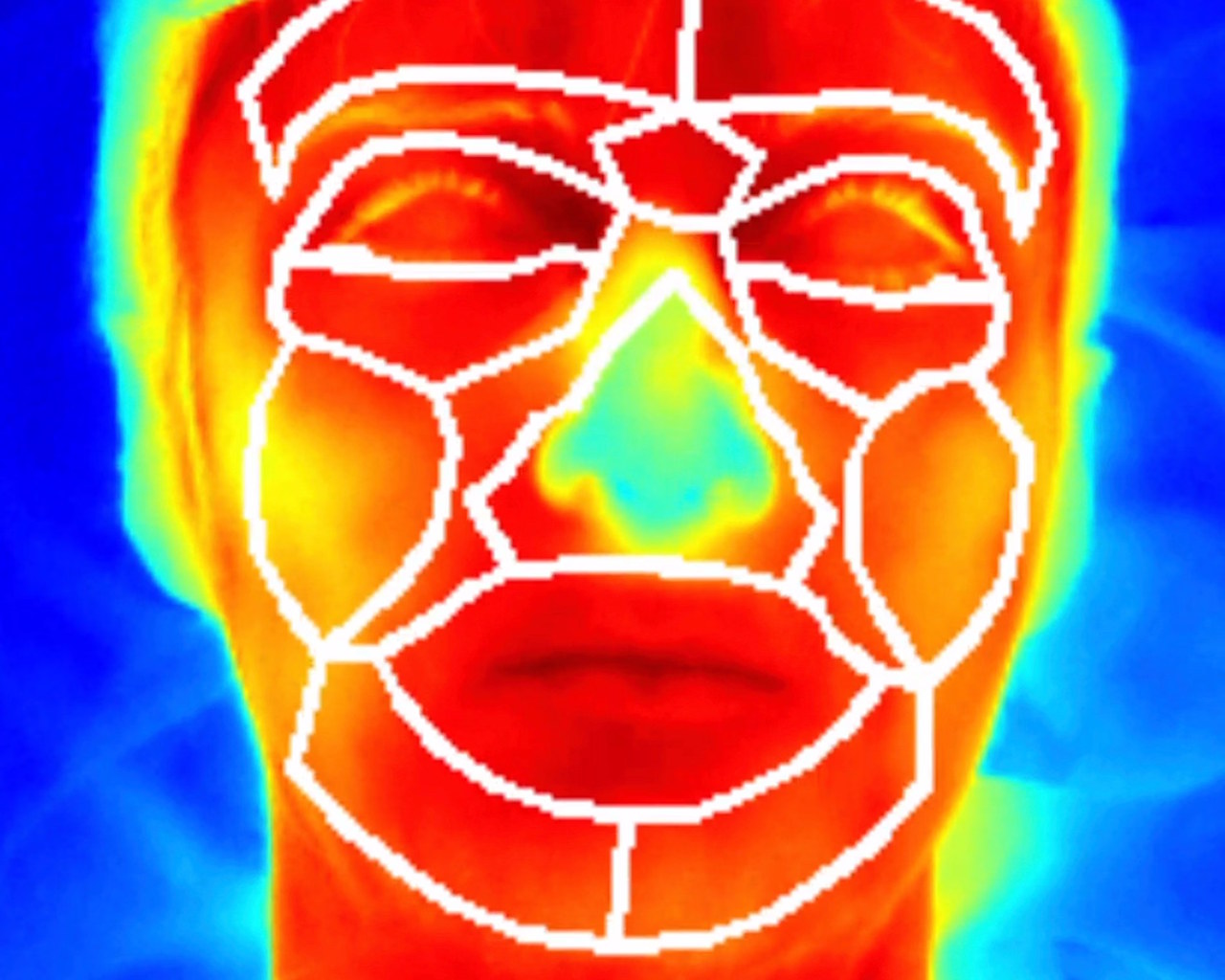 Карта температури обличчя людини у відповідь на плач дитини. Червоним позначені ділянки, які нагрілися найбільше. ENES Bioacoustics Research Lab