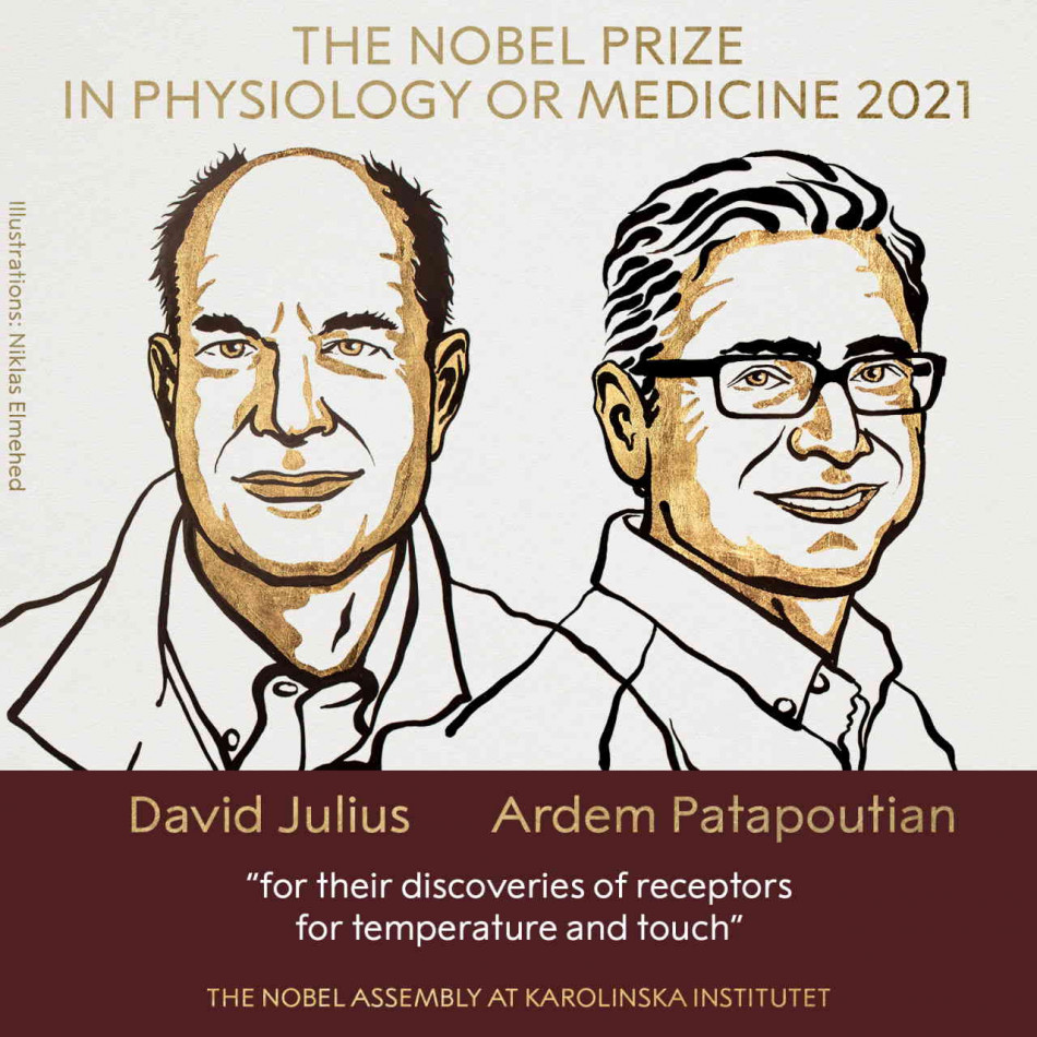 Нобелівську премію з фізіології або медицини присудили за відкриття рецепторів температури та дотику