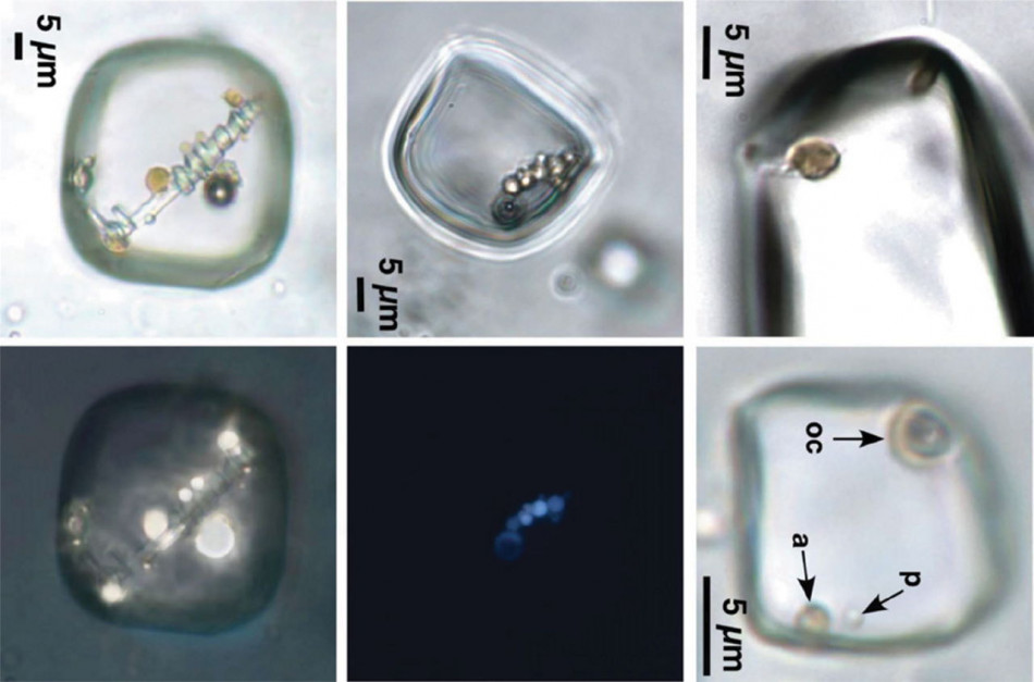 У кристалах солі віком 830 мільйонів років знайшлися мікроорганізми