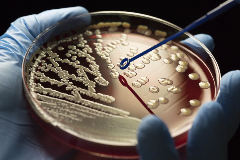 Експериментальний антибіотик знищив десятки видів супербактерій