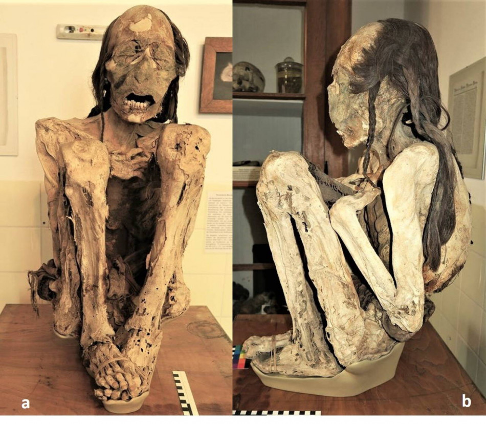 Томографія мумій вказала на спосіб убивства двох чоловіків доколумбової Америки