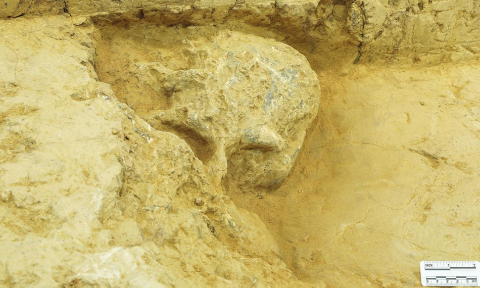 У Китаї відшукали людський череп віком мільйон років