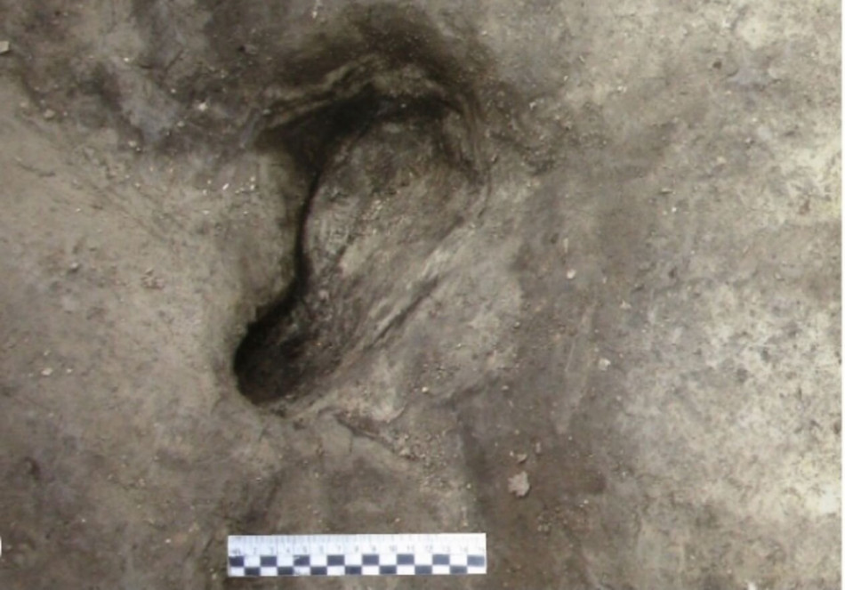 У Німеччині знайшли сліди ніг вимерлих людей. Їх залишили 300 000 років тому
