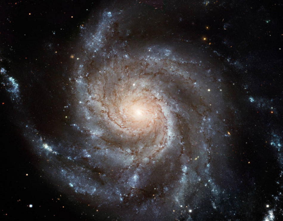 «Габбл» знайшов зорю-прародичку травневої наднової SN 2023ixf