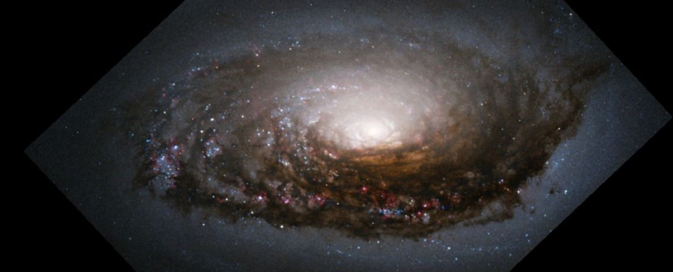 Поглинання сусідньої галактики закрутило диск Сплячої Красуні у різні сторони