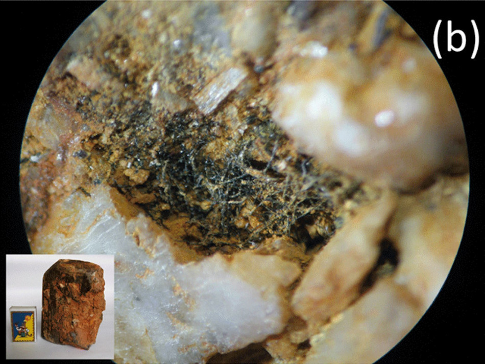 Житомирські мінерали зберегли скам'янілі мікроби віком 1,5 мільярда років