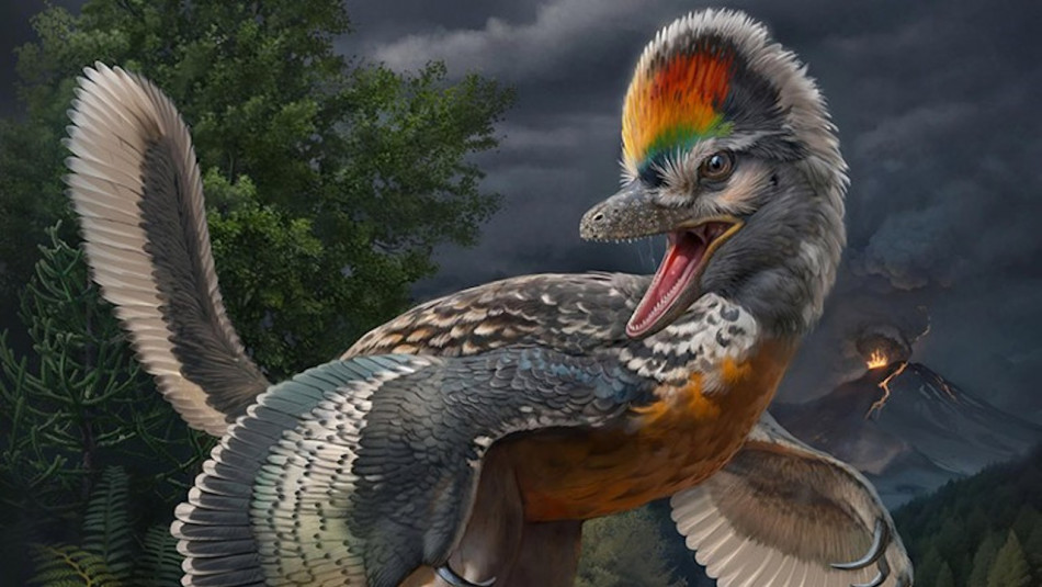 У Китаї знайшли скам'янілість довгоногого птахоподібного динозавра