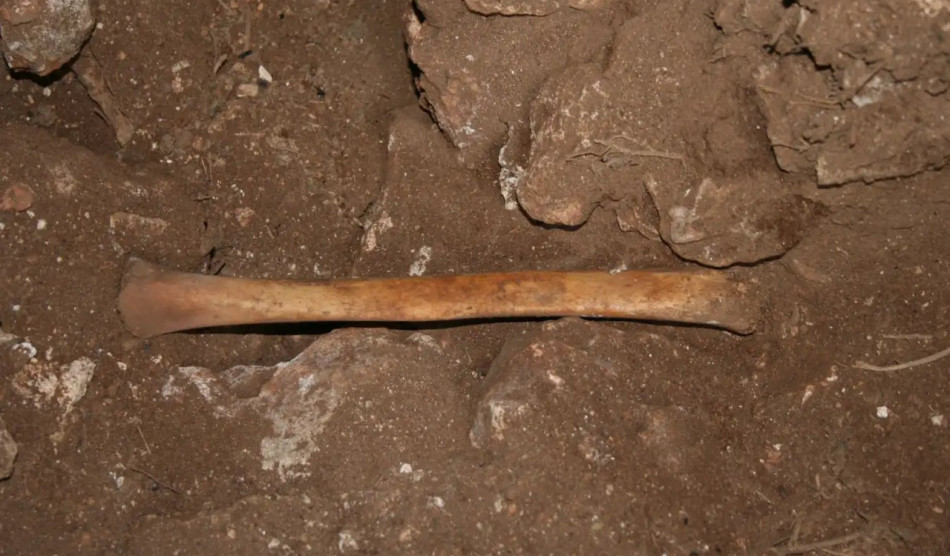 Доісторичні європейці переробили людські кістки в інструменти