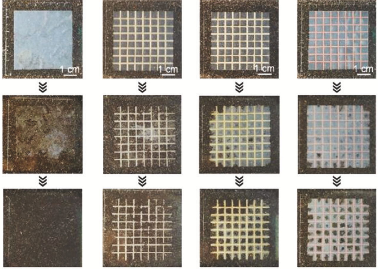 Датчик вологи перевірить полив рослин і удобрить їх