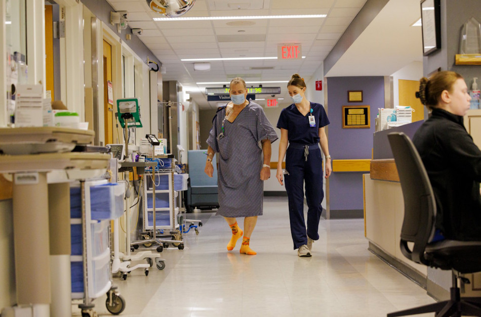 Свиняча нирка у людському тілі відмовила за дев'ять місяців. Це новий рекорд