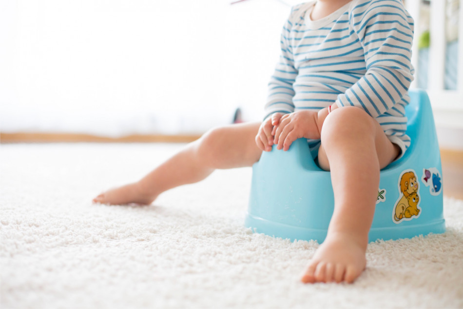 Пересадка калу від активних дітей заохотила пацюків досліджувати нове