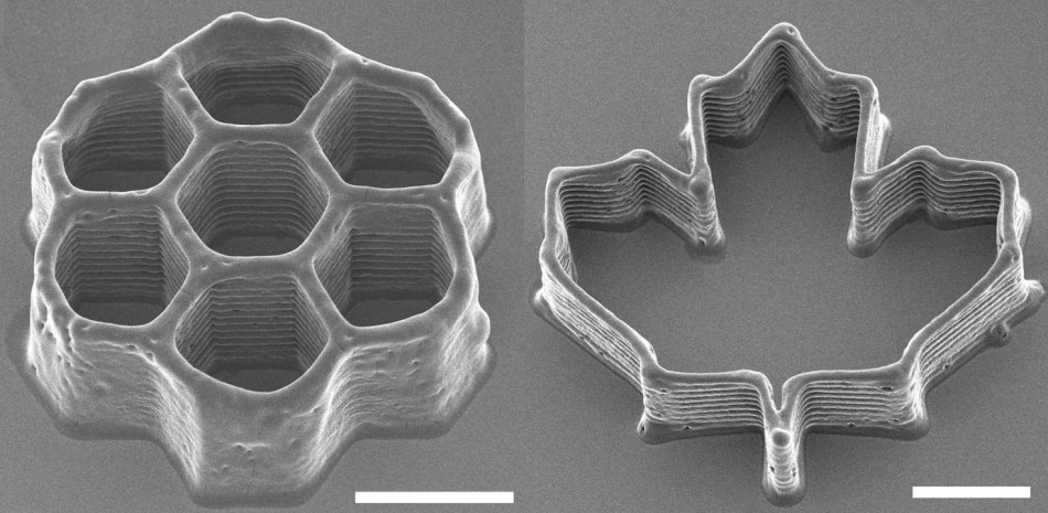 Хоботок комара використали для високоточного 3D-друку