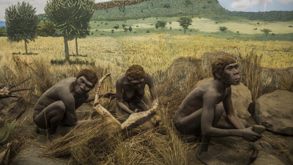 Давні люди прибули до Австралії 60 тисяч років тому. Це раніше за прибуття сучасних людей до Європи