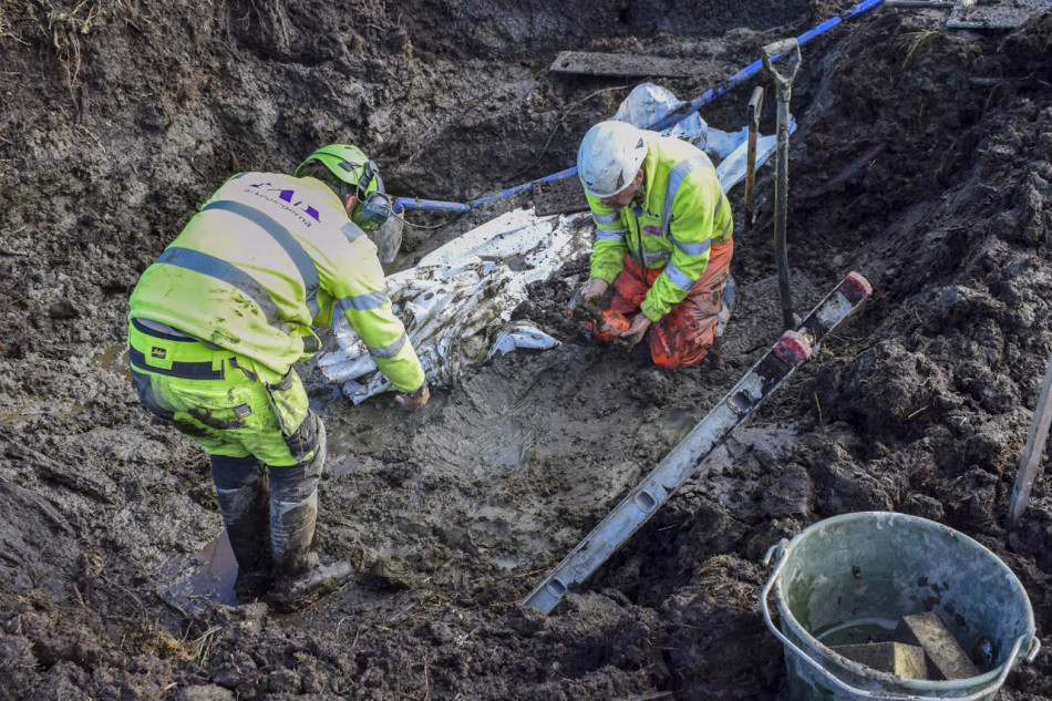 У шведському болоті знайшли ритуальне поховання собаки кам’яної доби