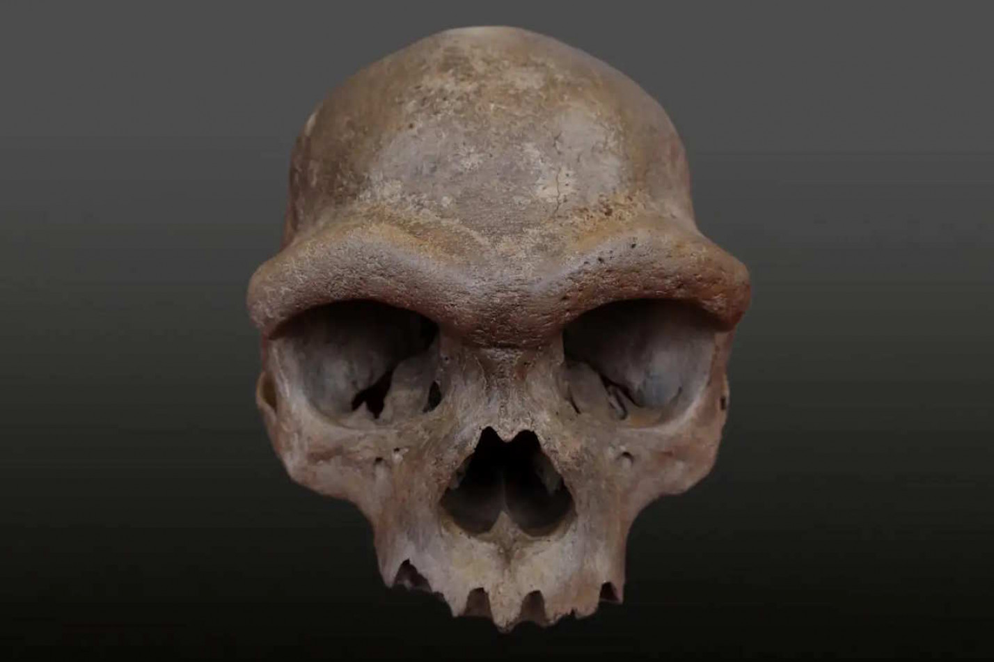 Скляний мозок, татуйовані мумії та вагітні скелети. Найцікавіші фото з археологічних досліджень 2025 року