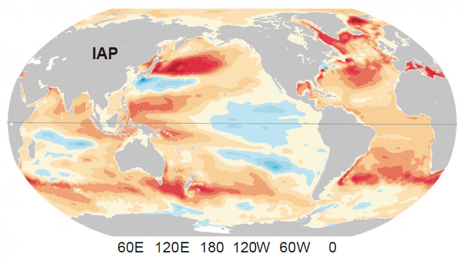 У 2025 році Світовий океан поглинув найбільше тепла в історії