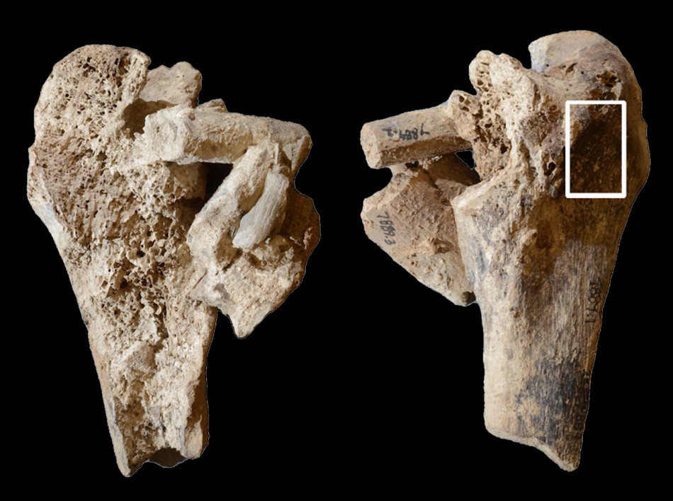 В Африці знайшли залишки найдавнішого погребального вогнища віком 9500 років