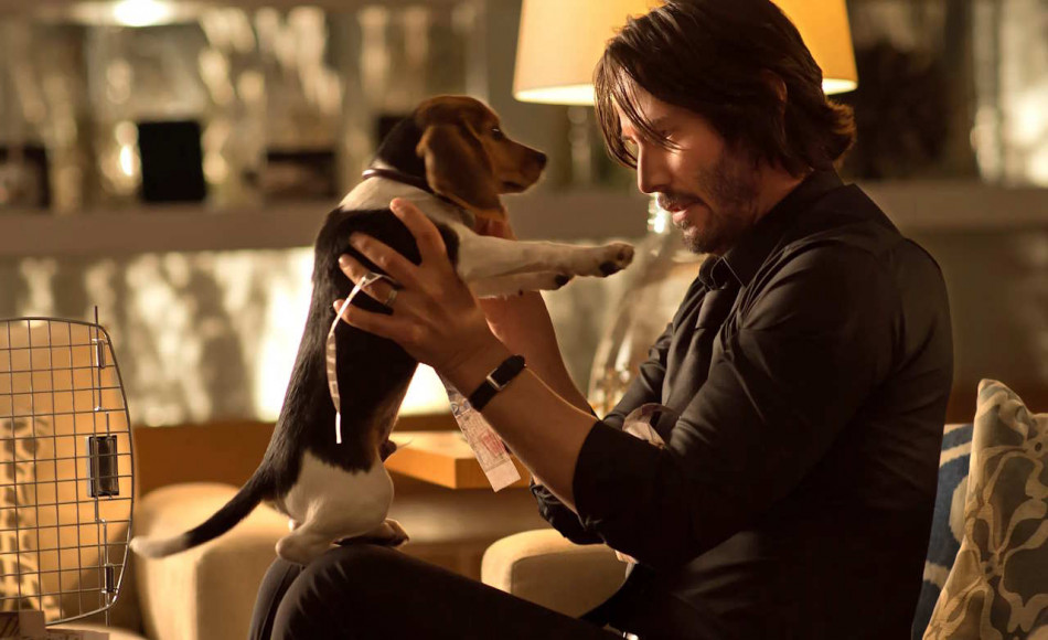 Скорбота за померлим домашнім улюбленцем виявилася такою ж, як і за другом