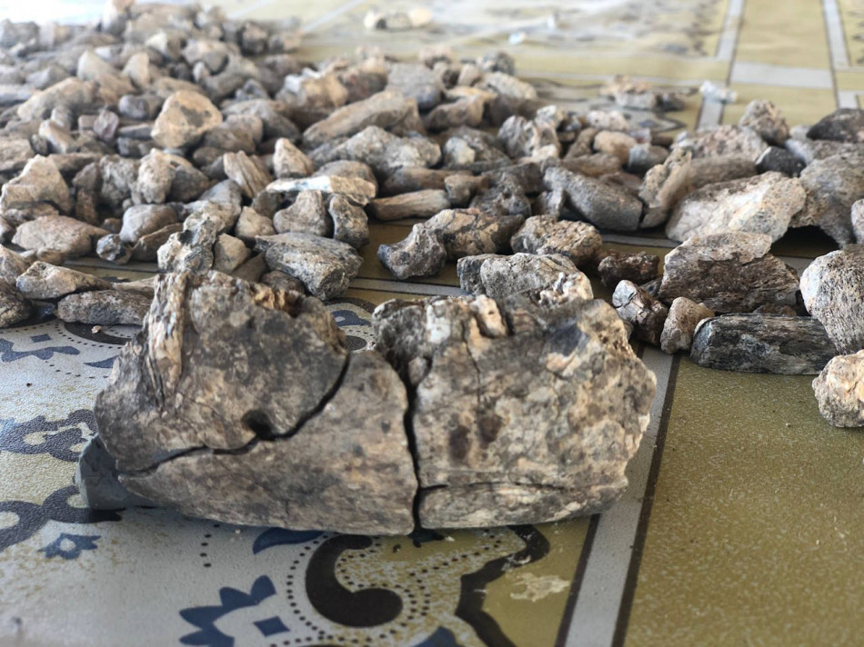 Рештки парантропа знайшли в Ефіопії за тисячу кілометрів від звичного ареалу. Досі його вважали нездатним розселитися по всій Африці