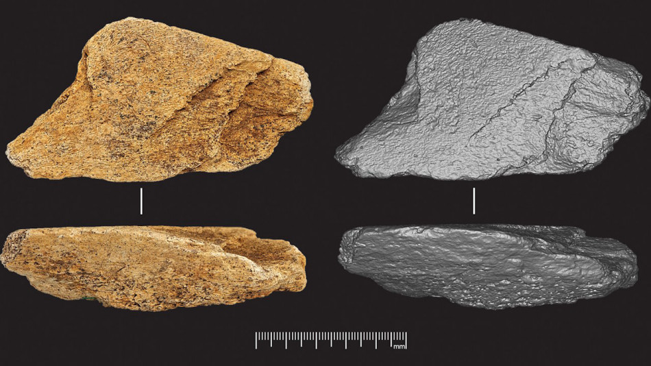 В Англії знайшли найдавніший у Європі інструмент із кістки слона віком 480 тисяч років